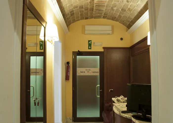Clara Domus 3*